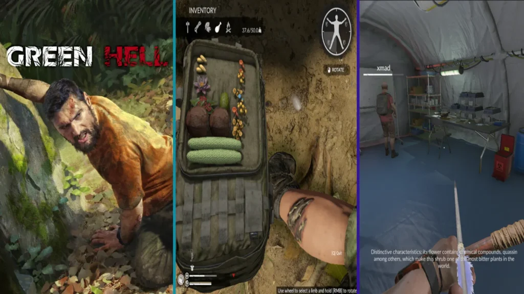 Explore the Best Survival Worlds You Can Play Now Open-World Survival Games